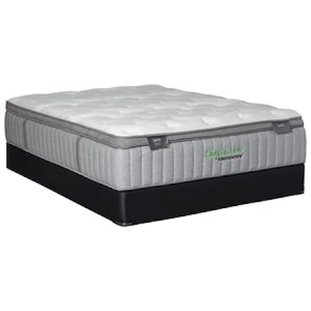 Queen Back Smart Series 500 Mattress and 5" Low Profile Box Spring